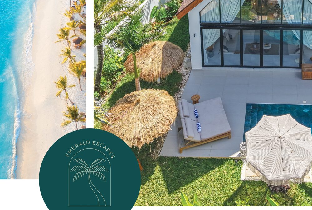 Luxury Company Profile Design for Paje Emerald Escape